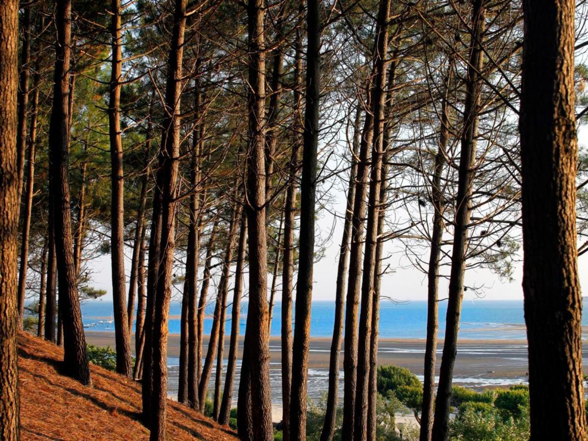 Arcachon Centre: Beau T2 53M² Avec Terrasse, Parking, Ascenseur, Proche Plage Et Commerces - Fr-1-420-93 Exterior photo